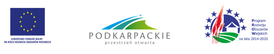 loga projekt