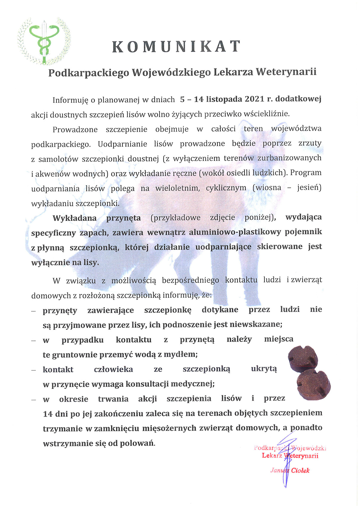 grafika