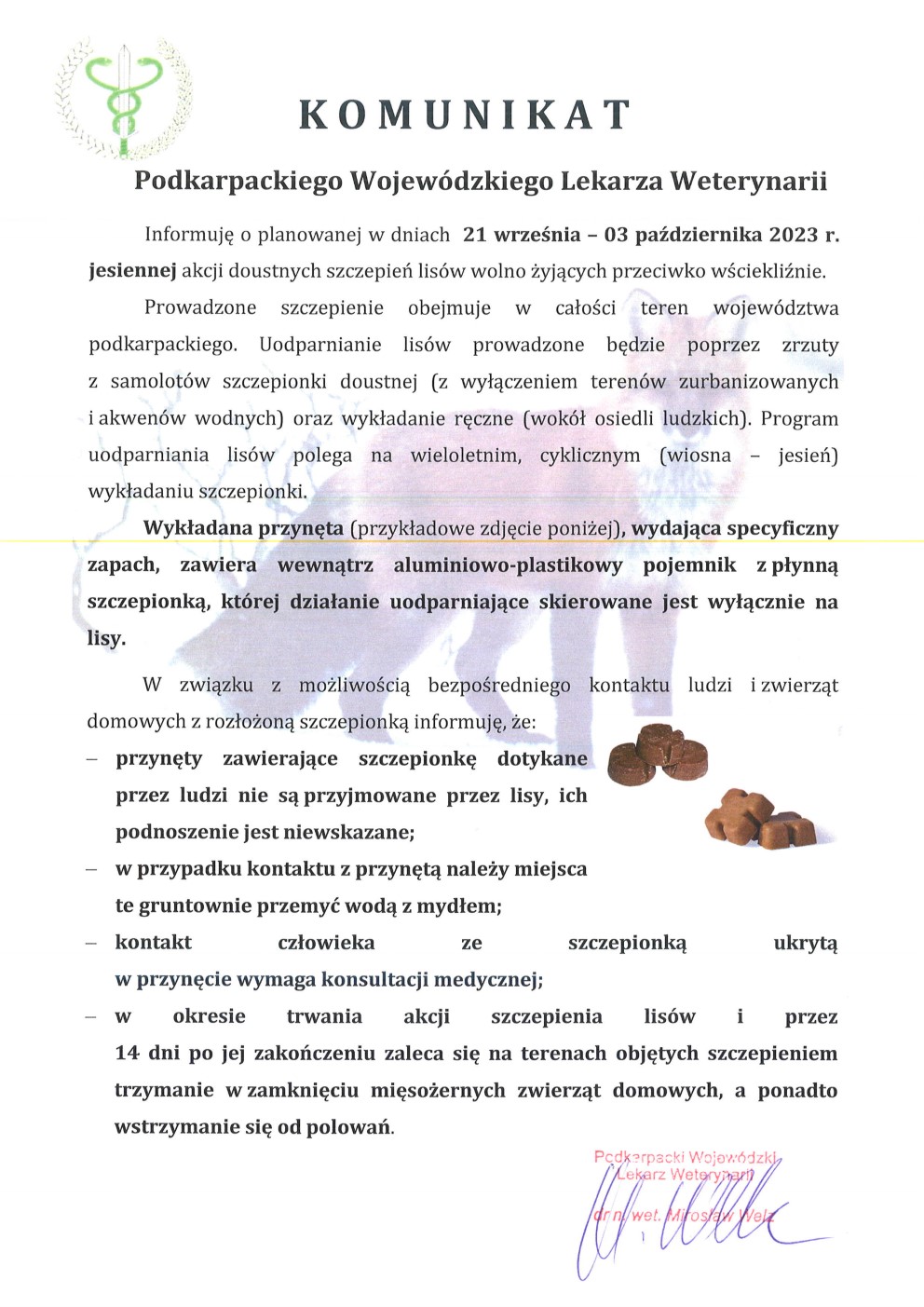 Grafika